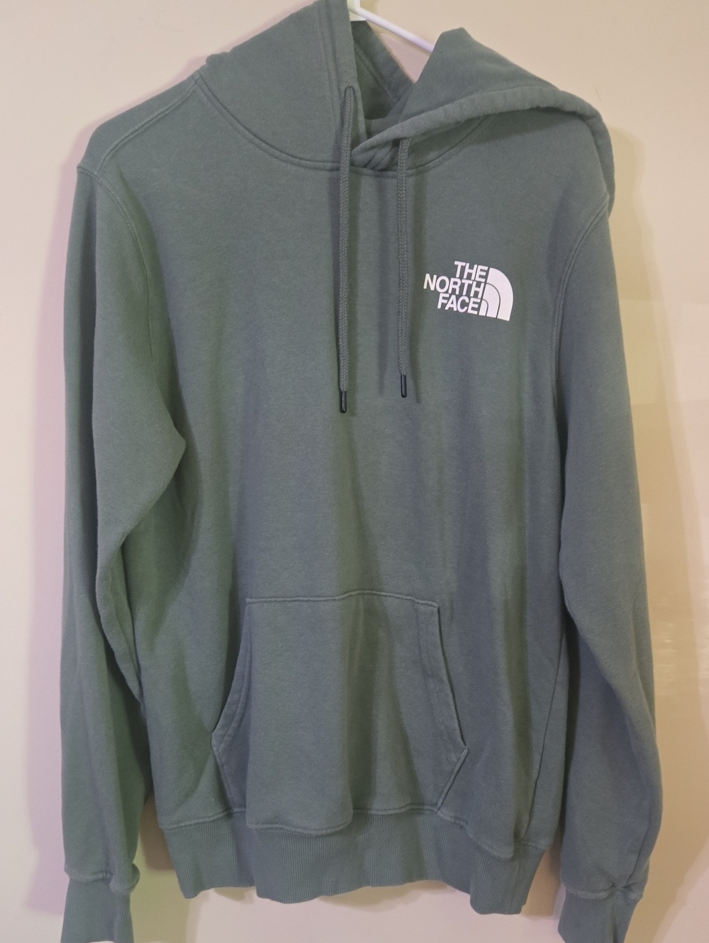 The North Face Men's Pullover Hoodie in Sage Green